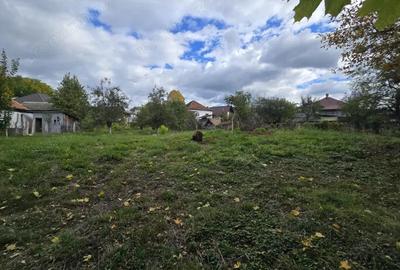 Casa Centrala Curtea de Arge?, Teren 2.211 mp - 13