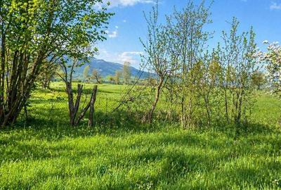 Teren de 2400 mp, în Ostrov - 2