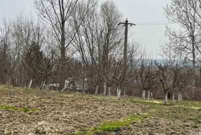 Teren intravilan, 2100 mp, deschidere 26 ml - Siret - 2