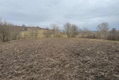 Casă cu 4 camere în Cireșu - 4