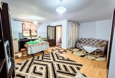 Casă cu 2 camere cu Teren 2647 Mp în Valea Mare - 7