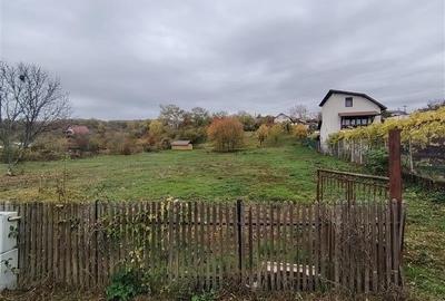 Teren parcelabil, in zona curata si linistita, la 10 minute de Ploiesti - 4