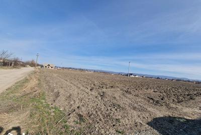 Teren de 710 mp, în Calea Bârladului - 2