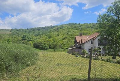 Spațiu comercial, în Păuliș - 5