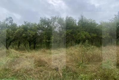 Teren de 5150 mp, în Simeria - 2