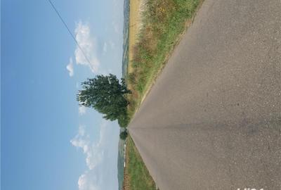 Teren de 5000 mp, în Pleașa - 3