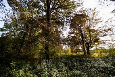 Teren Construcții intravilan de 64000 mp, în Cil - 1