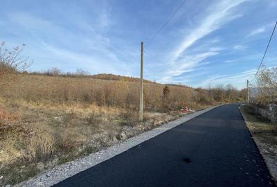 Spațiu comercial, în Eșelnița