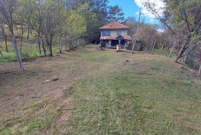 Casă cu 3 camere în Central - 3