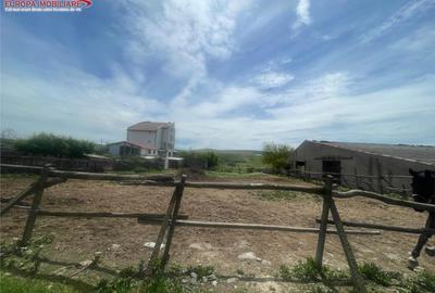 Teren de 1000 mp, în Babadag - 3