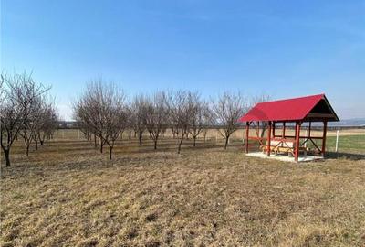 RECO Teren intravilan in zona Alesd Sat Subpiatra 800mp - 2