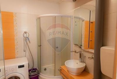 Apartament cu 2 camere de vanzare, metrou Nicolae Grigorescu - 13