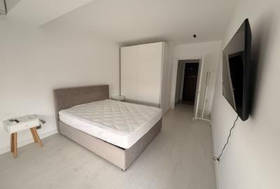 Apartament cu 2 camere decomandat, mobilat în Iancu Nicolae - 11