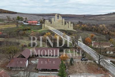 Oportunitate investitie: două reședințe de vacanță/ cabane 3940mp teren - 13