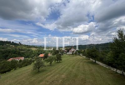 Casă individuală cu 8 camere cu Teren 2308 Mp în Sohodol - 23