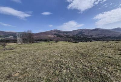 Teren intravilan la baza pădurii Valea Doftanei sat Traisteni (poduri) - 4