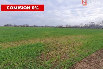 Comision 0% Teren extravilan agricol 21,32 ha sau intravilan cu PUZ aprobat - 3