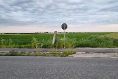 Teren de 4575 mp, în Filipeștii de Târg - 6