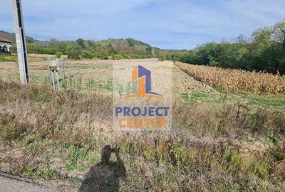 Teren intravilan 3835 mp, stradal, Babana - 3