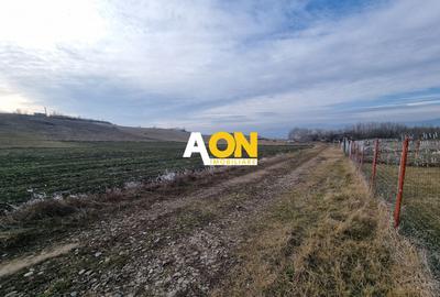 Teren Construcții intravilan de 954 mp, în Periferie - 5