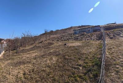 Teren de 1000 mp, în Sânnicoară - 4