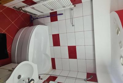Apartament cu 2 camere decomandat în Ultracentral - 3