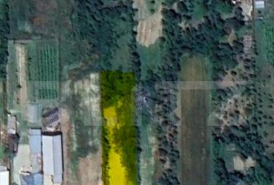 Teren 2.500 mp, front 23 ml, trifazic Coste?ti din Deal - 5