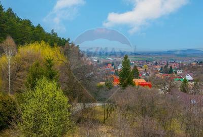 Teren Construcții intravilan de 857 mp, în Nord-Est - 11