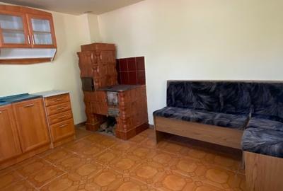 Proprietar vand casa de vacanta gata de locuit in Cebza , sat linistit - 3