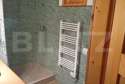 Casă cu 3 camere în Criș - 14