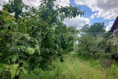 Teren intravilan, de vanzare, 2474 mp, zona Voinesti - 5