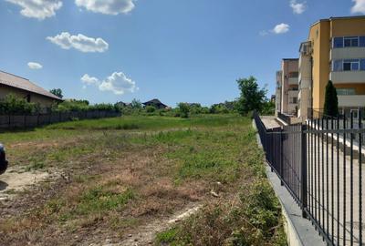 Teren de 450 mp, în Vișan - 3