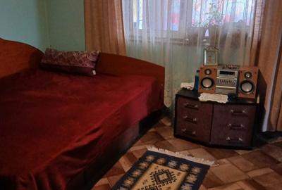 Casă cu 3 camere în Vidra - 1