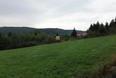 Teren 5023 mp In Bucovina Zona Manastirea Voronet De Vanzare 0727817187 - 7