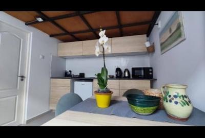 Apartament tip studio,in zona ultracentrala - 4