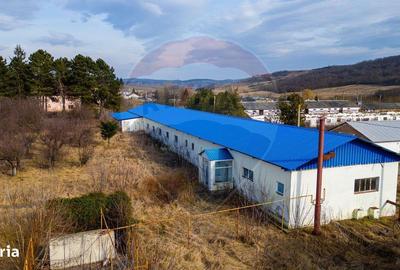 Spațiu comercial, de 800 mp, în Traian - 13