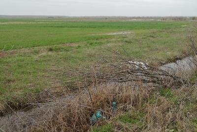 Teren agricol, extravilan com Mârșa jud Giurgiu. - 3