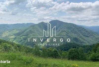 Teren de 4300 mp, în Vale - 3