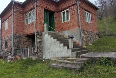 Casă cu 4 camere în Densuș - 3