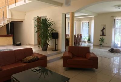 Proprietate inedita cu teren de 4400, si deschidere cu ponton pe Bega - 2