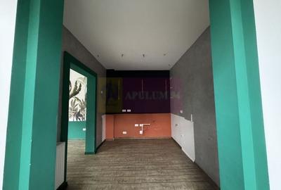 Casa Zona Dorobanti | Floreasca | Curte - 7
