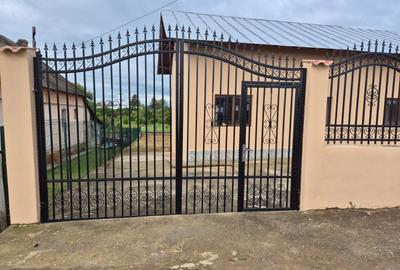 Casă cu 3 camere în Racovița - 7