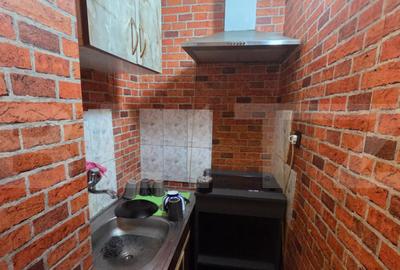 Garsoniera de vanzare, 26 mp, zona Centrala - Calea Bucurest - 3