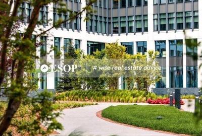 Spațiu comercial, de 60 mp, în Grozăvești