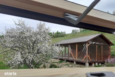 Casă cu 4 camere cu Teren 8000 Mp în Vale - 7