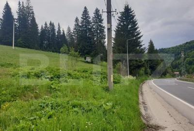 Oportunitate de Investi?ie: Teren de 10.000 mp la Intrarea - 6