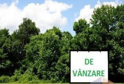 Teren de 12200 mp, în Rădăuți - 3