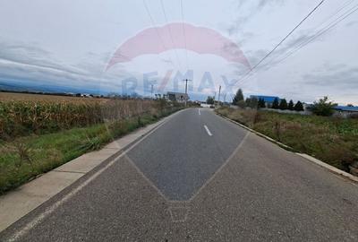 Teren  5.000 mp – strada Tineretului, orașul Buhuși - 2