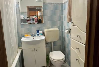Apartament cu 2 camere decomandat, mobilat în Ozana - 10