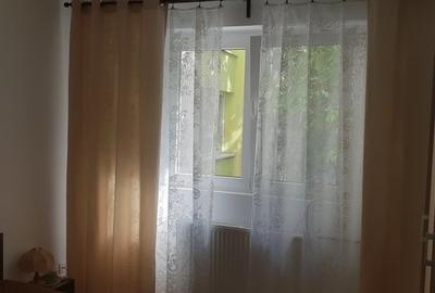 Lacul Tei, Maica Domnului, Domino, Parcul Circului - 9